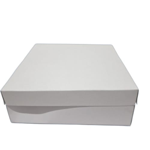 Box nasi duplex custom/cetak